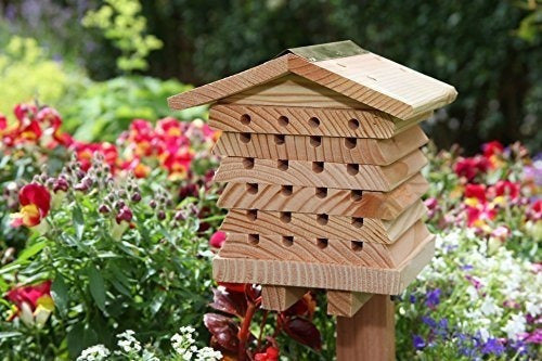 Casa Del Sistema De Manejo De La Abeja Mason