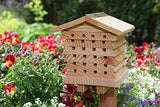 Casa Del Sistema De Manejo De La Abeja Mason