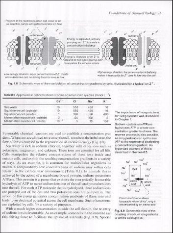 Fundamentos De La Biología Química (oxford Chemistry