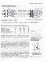 Fundamentos De La Biología Química (oxford Chemistry