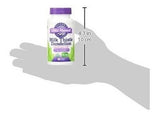 Cápsulas Del Diente De León Del Cardo De La Leche De La