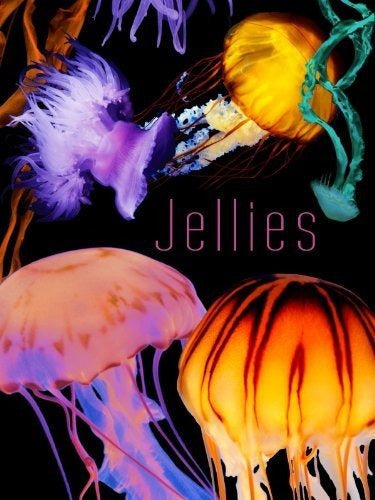 El Arte De La Naturaleza: Jaleas DVD
