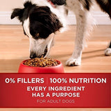 Alimento Para Perros Seco Para Adultos