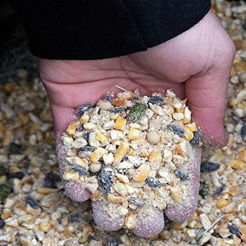 Ani-logics Outdoors Ani-suplemento Gold, 10 Lb