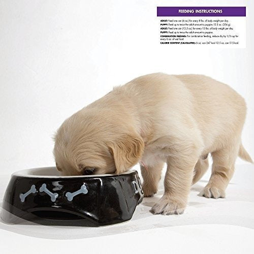 Alimentos Húmedos Para Cachorros
