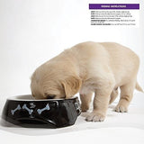 Alimentos Húmedos Para Cachorros