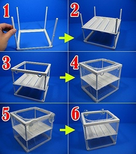 Caja De Incubación De Separación De Criadero