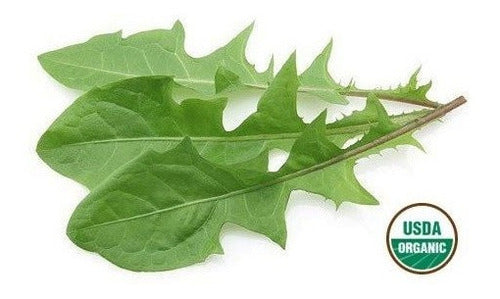 Hierbas De Diente De León Orgánica - Hojas Sueltas Secas