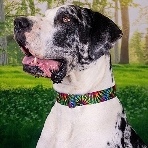 Country Brook Petz - Juego De Collar Y Correa Para Perros