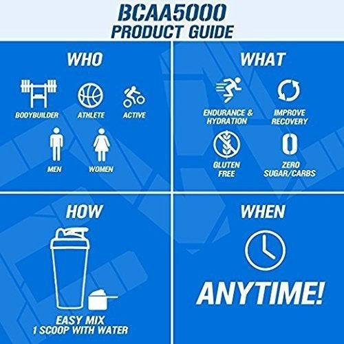 Evlution Nutrition Bcaa5000 Powder 5 Gramos De Bcaa Premium