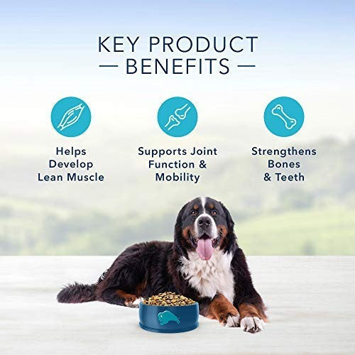 Alimento Para Perros razas grandes