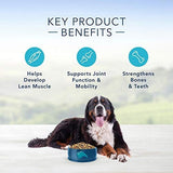 Alimento Para Perros razas grandes