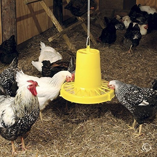 Alimentador De Las Aves De Corral De Saturn 15-15 Libras