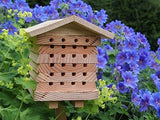 Casa Del Sistema De Manejo De La Abeja Mason