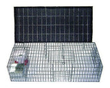 Bird B Gone Pigeon Tramp Con Contenedores De Sombra