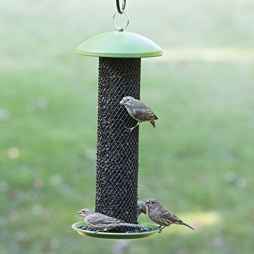 Perky-pet Gss00347 Alimentador De Pájaros Silvestres De Tubo