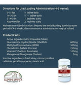 Glucosamina de la mejor calidad para caderas de perros