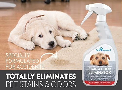 Limpiador enzimático para perros