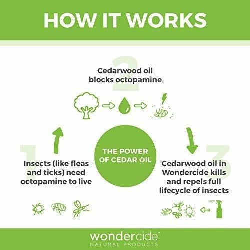 Wondercide - Control Natural De Pulgas Y Garrapatas Para