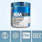Evlution Nutrition Bcaa5000 Powder 5 Gramos De Bcaa Premium