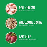 Iams Proactive Health Pollo Seco Para Adultos