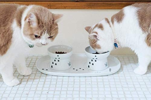 Bandeja Comedor doble para gatos