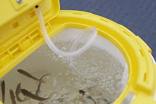 Cubo de cebo aislado para peces