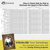 Formularios de genealogía en blanco