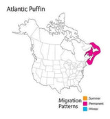 Audubon Birds Atlantic Puffin Plush Con