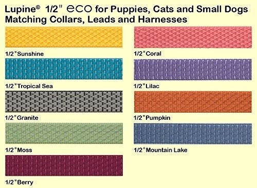 Lupinpet Eco 1/2 Mountain Lake Cat Collar De Seguridad