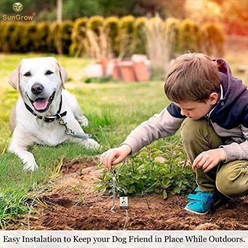 Estaca de amarre para perros de hasta 80 libras