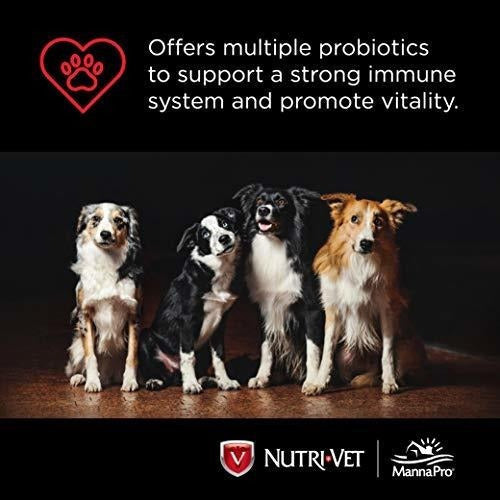 suplementos Para Perros