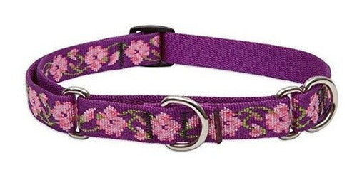 Collar Lupinpet Originals 3/4 Rose Garden 14-20 Martingale