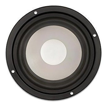 Subwoofer De Escenario, Woofers De Cono