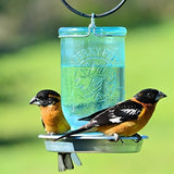 Perky-pet Mason Jar Jarro De Aves Silvestres 783
