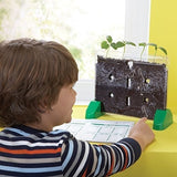 Perspectivas Educativas Sprout and Grow Window