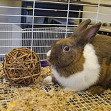 Fabricación De Artículos para animales pequeños