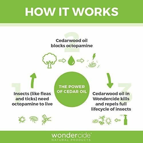Pulgas, Garrapatas Y Mosquitos Para Controlar Los