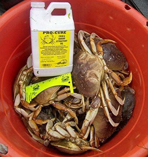 Aceite de cebo atrayente de cangrejo y camarones