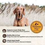 Alimento Seco Para Perros De Grano Natural,