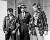 A sangre fría (la colección Criterion)