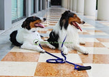 Correa De Perro Doble Azul Para Dos Perros - Azul -