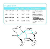 Colecciones De Trajes Para Perros