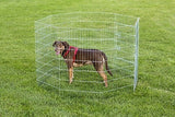 Bolígrafo De Ejercicio Para Perros