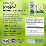 Cápsulas Orgánicas De Moringa Oleifera En Polvo Energía