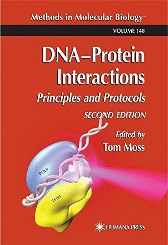 Interacciones De La Proteína Del Adn