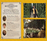 Harry Potter: Diario De Bolsillo Gobernado Por Hufflepuff