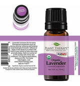 Terapia Vegetal
