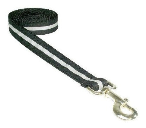 Correa para perros de 4 pies