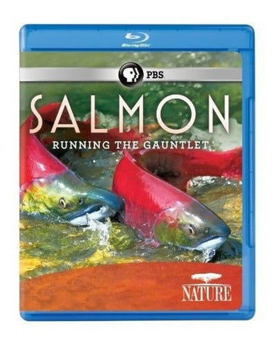 Naturaleza: Salmón [blu-ray]